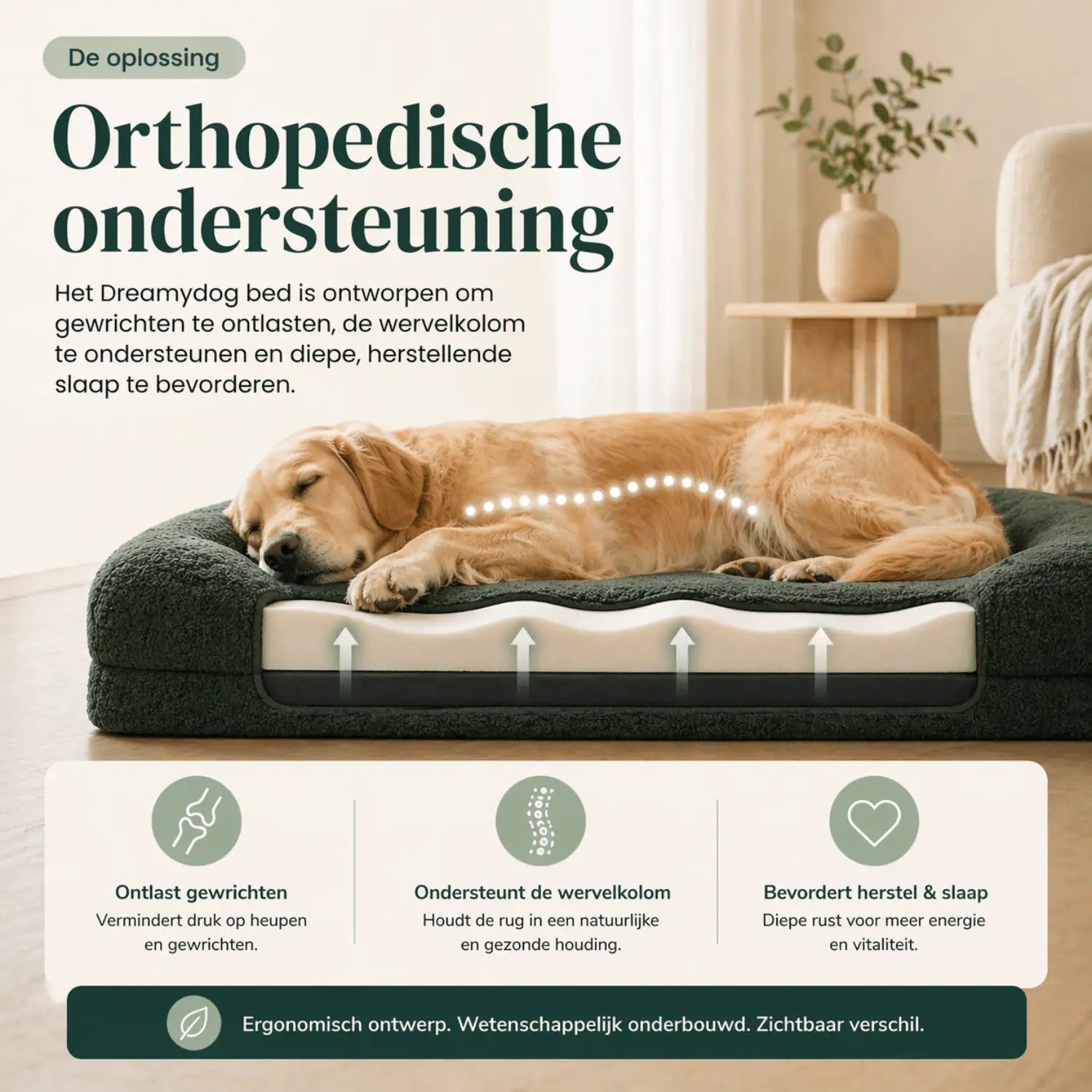 Orthopedisch hondenkussen - Bouclé Forest Green - Dreamydog - Hondenkussen