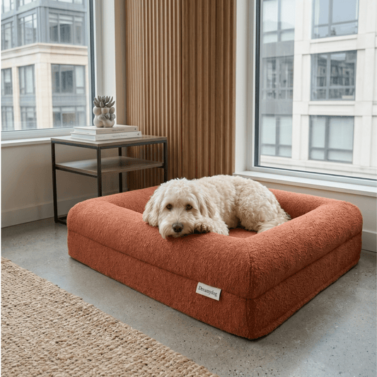 Orthopedisch hondenkussen - Bouclé Terracotta - Dreamydog - Hondenkussen