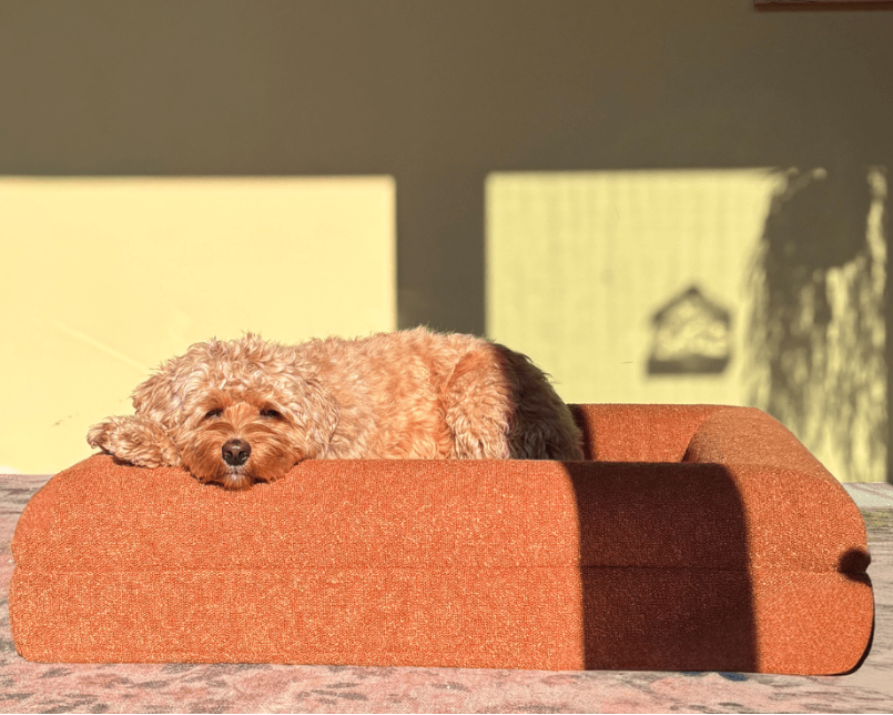 Orthopedisch hondenkussen - Bouclé Terracotta - Dreamydog - Hondenkussen