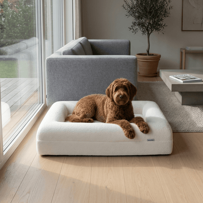 Orthopedisch hondenkussen - Bouclé Wit - Dreamydog - Hondenkussen