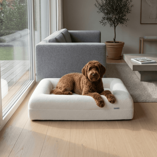Orthopedisch hondenkussen - Bouclé Wit - Dreamydog - Hondenkussen