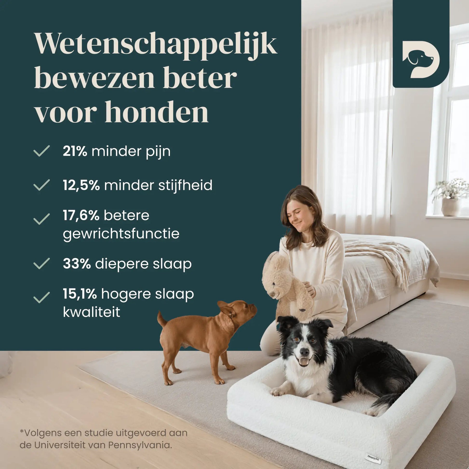 Orthopedisch hondenkussen - Bouclé Wit - Dreamydog - Hondenkussen