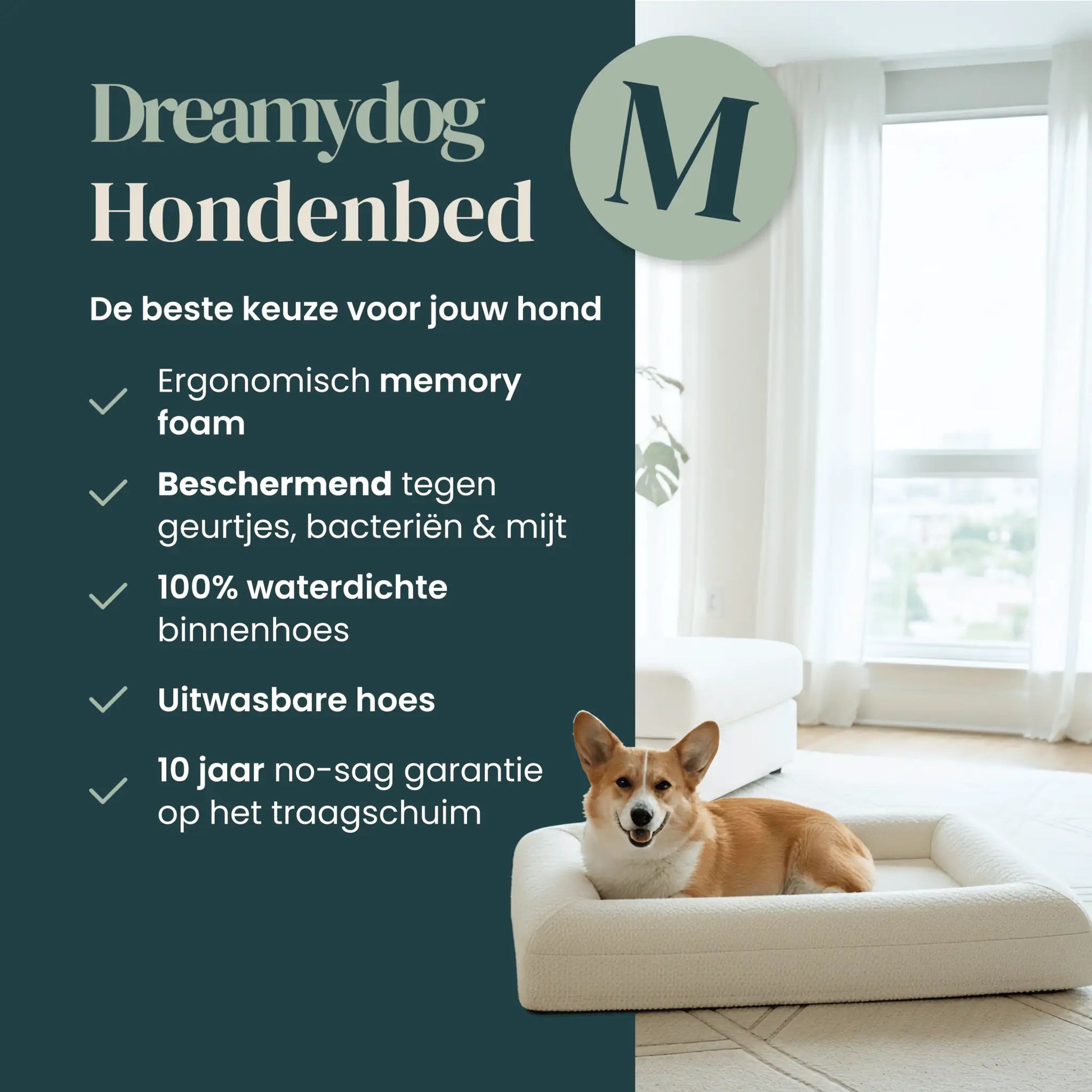 Orthopedisch hondenkussen - Bouclé Wit - Dreamydog - Hondenkussen