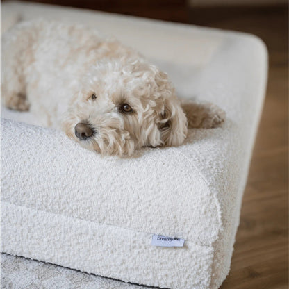 Orthopedisch hondenkussen - Bouclé Wit - Dreamydog - Hondenkussen