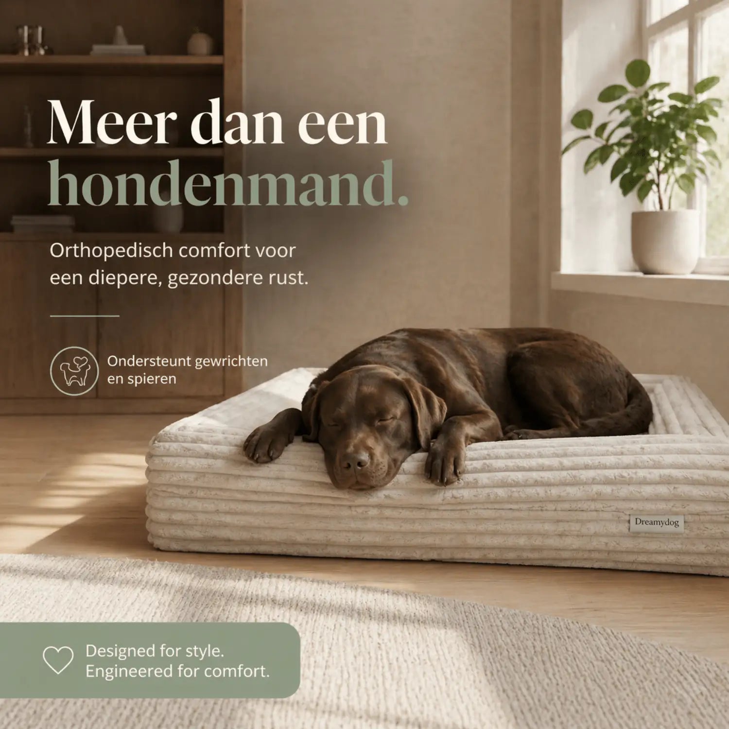 Orthopedisch hondenkussen - Puffer Dune - Dreamydog - Hondenkussen