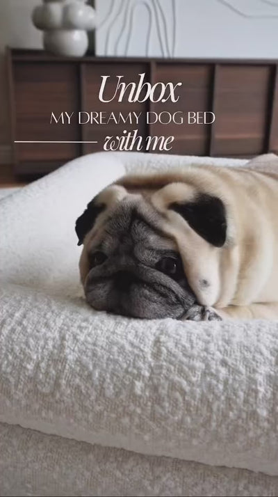 Unboxing Dreamydog dog bed