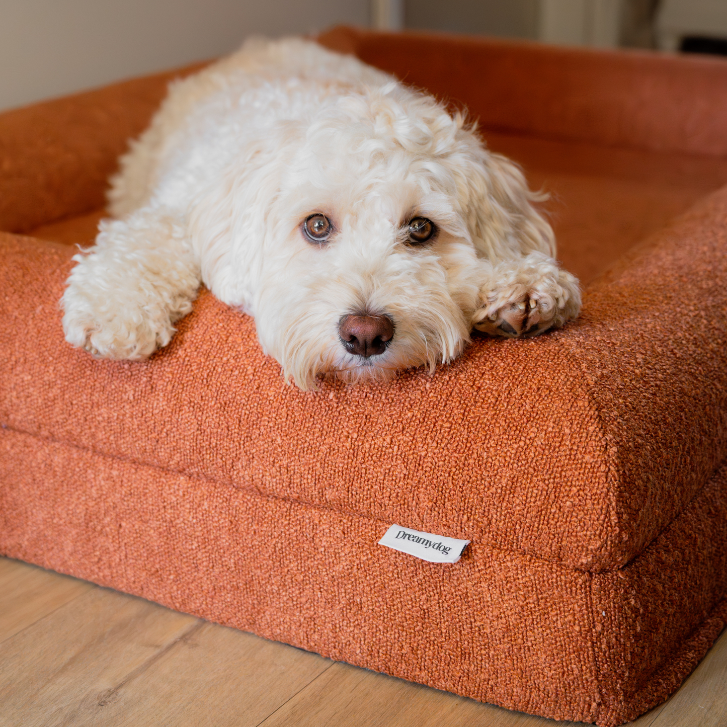 Orthopedic Dog Bed + Extra Cover Bundle